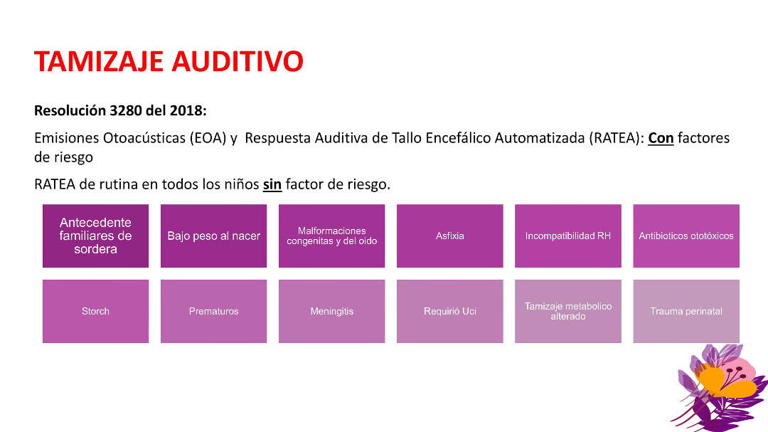 Equipo de Tamizaje Auditivo